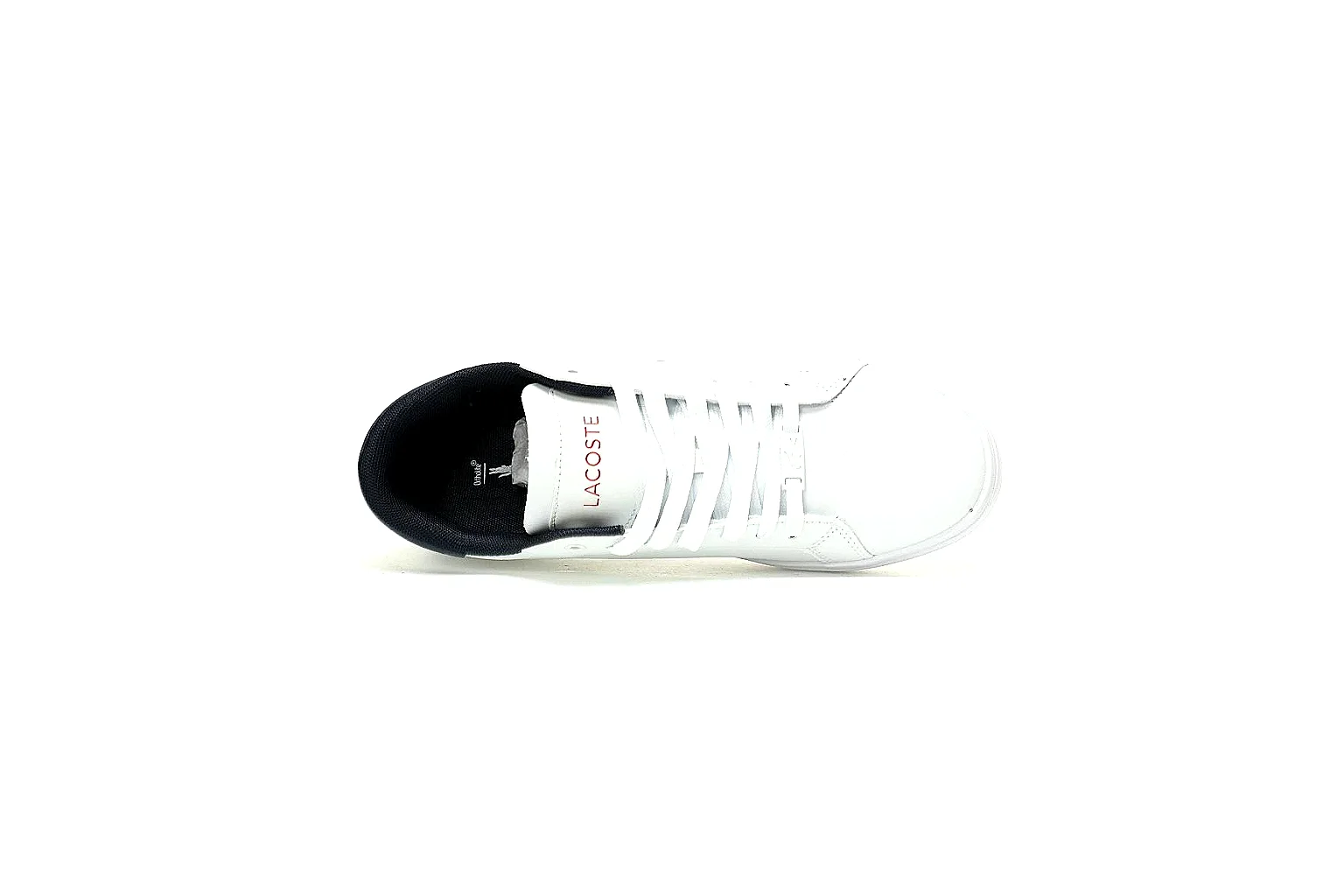kakosheetbase.com Lacoste White Logo Low Top 0284 White low-top product image thumbnail 2