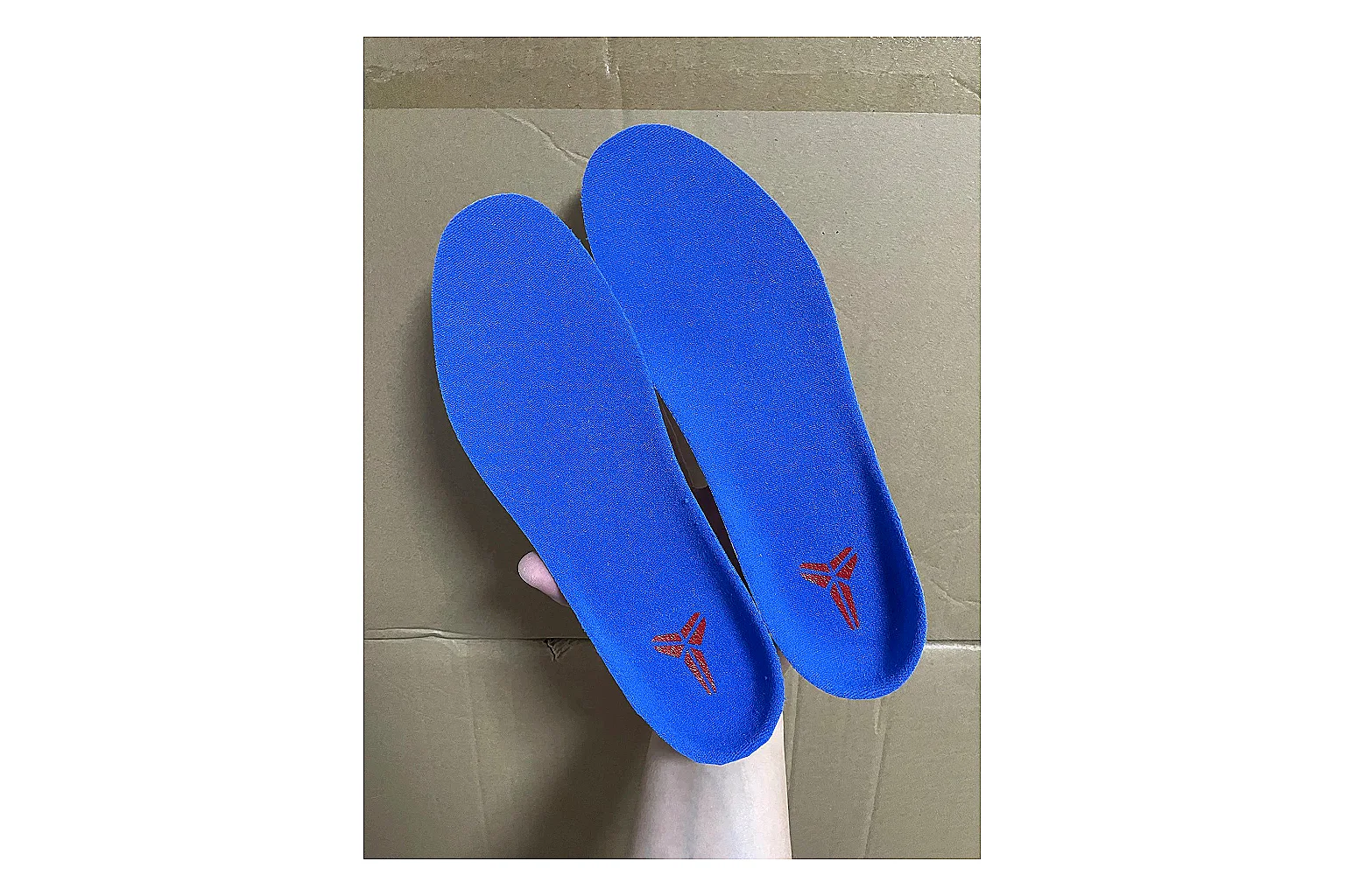 Casual Low-Top Sneaker 5590 Sheetbase record image with red casual low-top with mixed-material upper and low-profile shape thumbnail 4